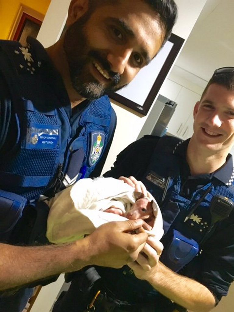 RESCUED: Snr Con Amit Singh (L) and Con Reagan Learoyd holding baby joey Coconut. RESCUED: Snr Con Amit Singh (L) and Con Reagan Learoyd holding baby joey Coconut.
